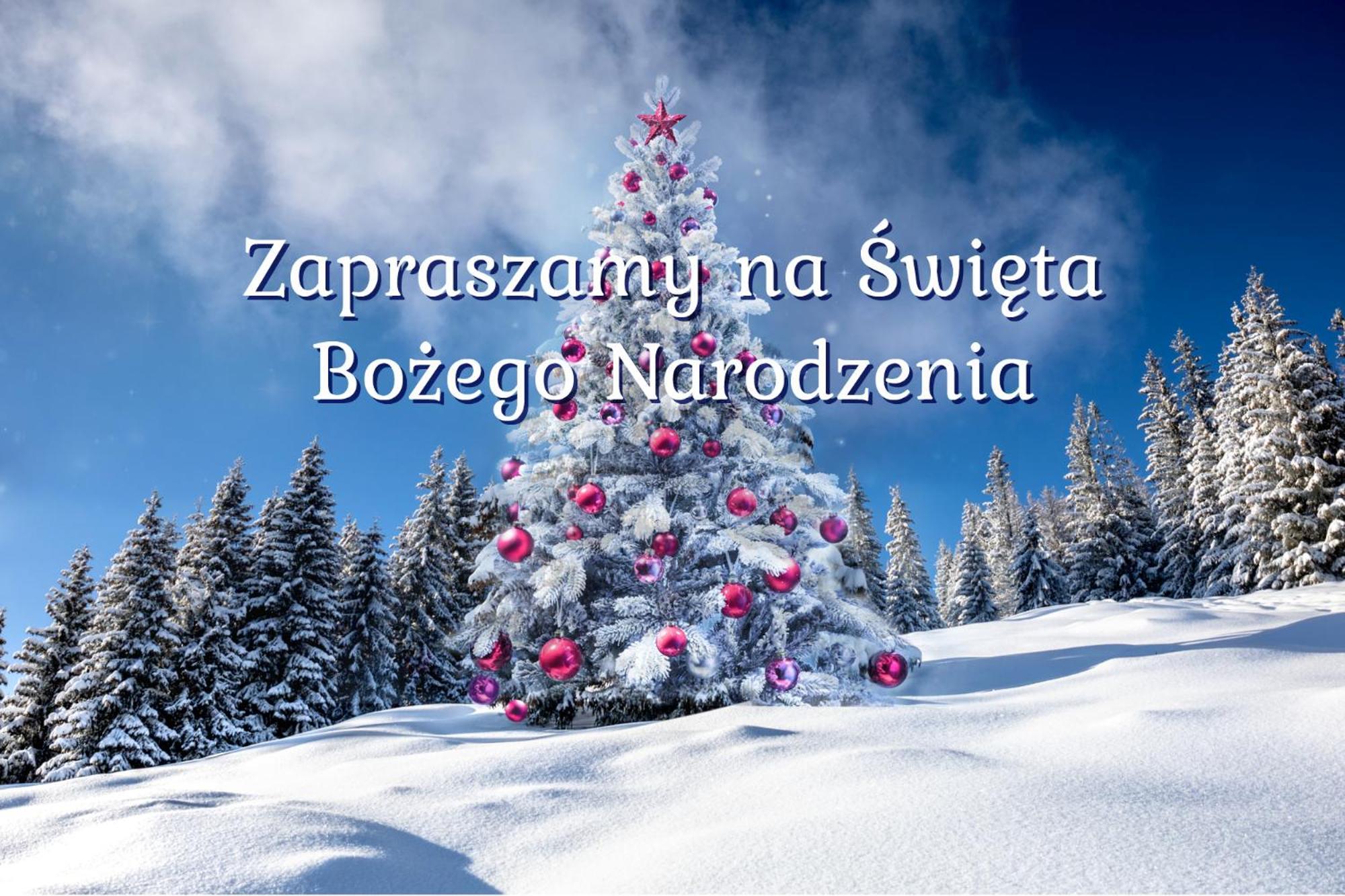 Apartamenty Matuska Poronin Εξωτερικό φωτογραφία